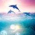 SleepyHollow (@shes_dolphins) Twitter profile photo SleepyHollow (@shes_dolphins) Twitter profile photo