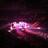 DJ_R3TOX's profile image