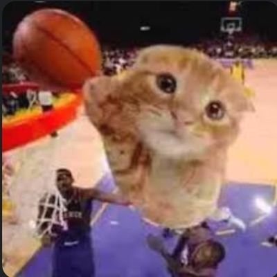 baller32q's profile picture. hater.