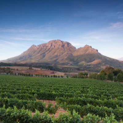 https://t.co/YxiF1MF8aV | Exploring the Winelands and its happenings, online and off.