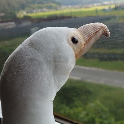 U-26🌸🗻🐇🌱🍵さんのプロフィール画像