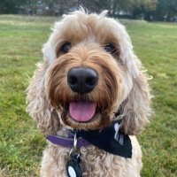 Kat (@katthekat75) 's Twitter Profile Photo