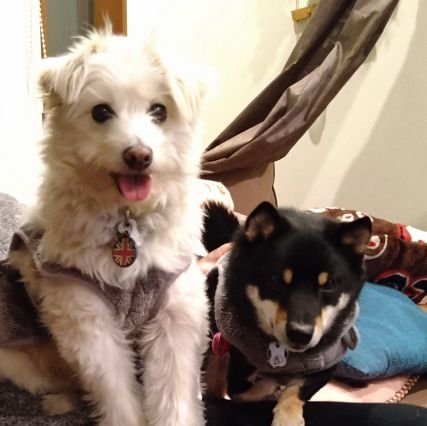 10UCNVEVpC41197's profile picture. 日々の授業のことです。