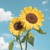 Sunflower lover (@gardening000) Twitter profile photo