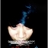 nocturnoabdeeku's profile image