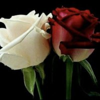 hodj (@hodjawad) 's Twitter Profile Photo hodj (@hodjawad) 's Twitter Profile Photo