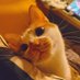 akooooriki (@akooooriki) Twitter profile photo akooooriki (@akooooriki) Twitter profile photo