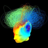 Cambridge Consciousness and Cognition Lab (@the_ccclab) 's Twitter Profile
