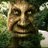 GustavoSagte's profile image