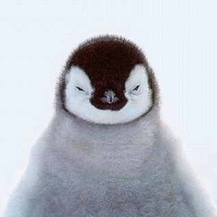 morning415225's profile picture. 