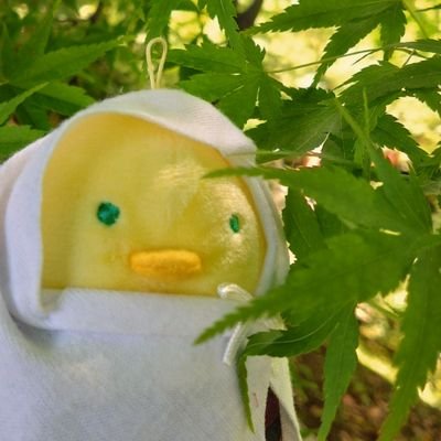 oh_jr417's profile picture. 西川貴教、浅倉大介ファン。西川至上主義。Icemanは別格で永遠。

推し→サンダーボルトファンタジー/ギヴン/弱虫ペダル/刀剣乱舞/チェリまほ

無言フォロー失礼します🙇
よろしくです。