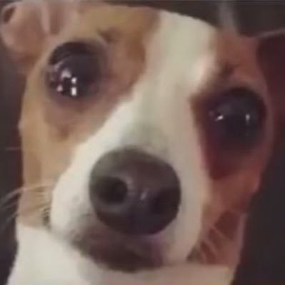 _nenenem's profile picture. 나를 모르느냐 하지마시고 행이대도햄자깨찰