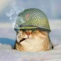 General Catton, soon warlord of former Seattle(@TheGenCatton) 's Twitter Profile Photo