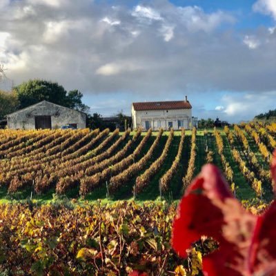 CHATEAU LE TRUCH ITS PHILOSOPHY ITS HISTORY ITS ORGANIC, VEGAN VINEYARD AND WINES -Since  XVth century- 3 Chemin de la Métairie, Montussan, France 🇫🇷
