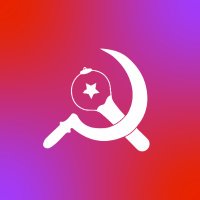 Liga Comunarmy 💜🚩 (@ligacomunarmy) 's Twitter Profile