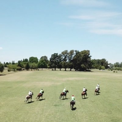Improve your Polo skills in your next Polo Holidays. Intensive lessons for all levels in top-notch fields with great instructors all year long.