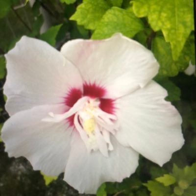 花、ワンコが好き・一眼レフカメラで景色や綺麗な花を撮る等が趣味。イラストを暇ある時、描いたり。お料理も野球観戦も大好きです。文読んだり、文字書いたりも好きです。硬式テニスやってます。竹野内豊・ヤクルト山田哲人・オスナ・サンタナ・宮本丈のファン✩︎投手は山野太一君、荘司宏太君、原樹里を応援。巨人は坂本勇人応援(DM×)