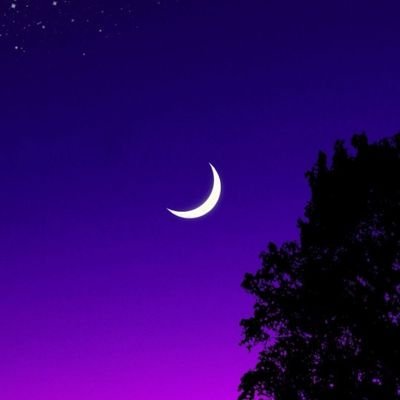 nurcan_034's profile picture. 📚🌌