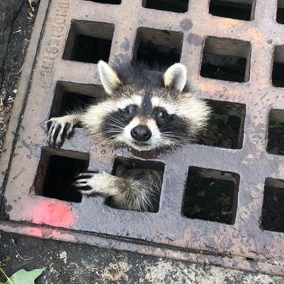 uncancelable's profile picture. 