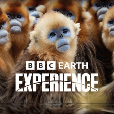 🌍 Step into a new immersive world
📍 London and Melbourne
🗓 Now booking until 2024
🎟 Tickets available now 
#MyBBCEarthExperience