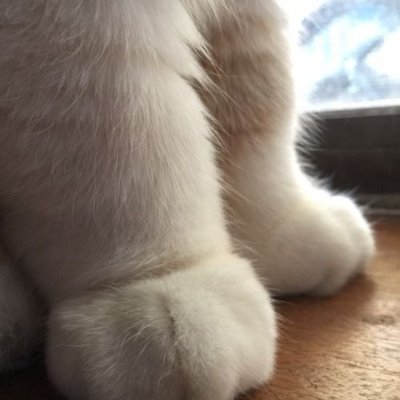 ANTONYMITYさんのプロフィール画像