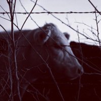 Donald O’Brien (@ridethetige_r) 's Twitter Profile