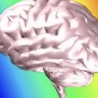 糜爛型大腦🧠 (@ravenlynch886) 's Twitter Profile Photo 糜爛型大腦🧠 (@ravenlynch886) 's Twitter Profile Photo