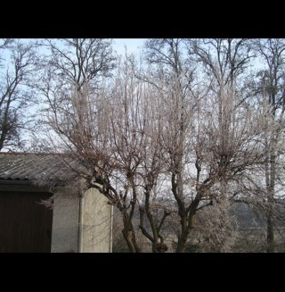 philidor64's profile picture. 