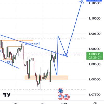 ndumabro_001's profile picture. Specialist in institutional concepts