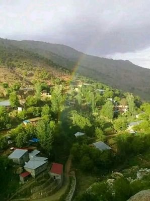 mehmettozkopar6's profile picture. 