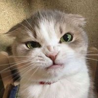 Jen 🗽⚖️📚🇺🇲 (@jenthebookworm) 's Twitter Profile Photo Jen 🗽⚖️📚🇺🇲 (@jenthebookworm) 's Twitter Profile Photo
