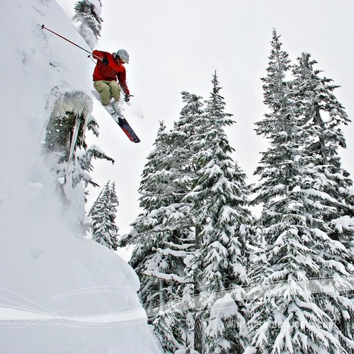 bleis85's profile picture. Independent bookstore.
New and used books, everyday reading.