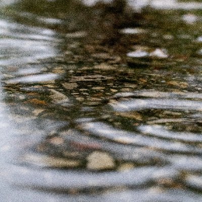 Fang_Ripper017's profile picture. Photographer

I do homework for a tax write off