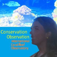 INTERNATIONAL CORAL REEF OBSERVATORY(@ICR_Observatory) 's Twitter Profile Photo