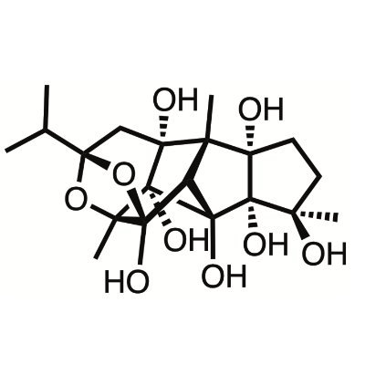 UK Retrosynthesis Competition