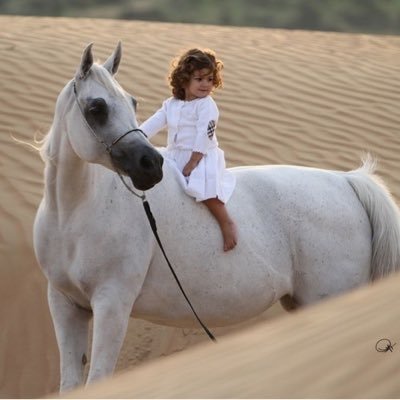 yousraalsayal's profile picture. Falling down is an accident.Staying is  choice.