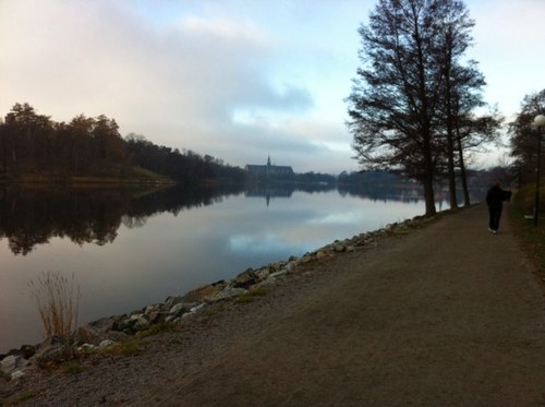 dinombudsman's profile picture. 