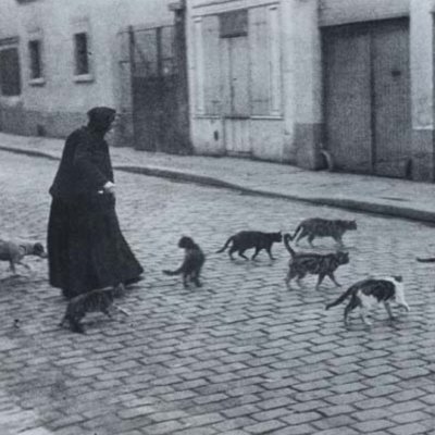 lobertaloberts's profile picture. I didn't start off here. An LGB ally since I had my first childhood crush.

I listened to trans voices for years, read resources. 

It made me gender critical.