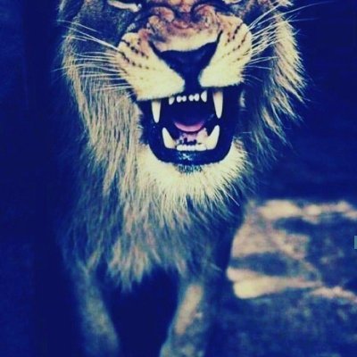 ht0wn_z's profile picture. 