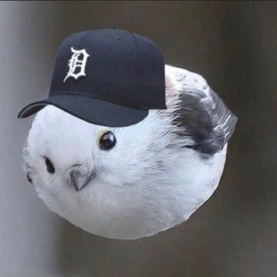 nostalgic_scott's profile picture. Film | Metal | Detroit Sports | https://t.co/hndVBrWczM | https://t.co/aJYJLhYFU9…