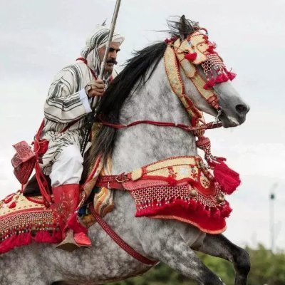 BallAyoub's profile picture. #bitcoin #ISLM_MAXI