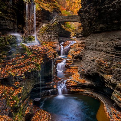 9d05dceae56f431's profile picture. Squaddie, Team Sussex, advocate for women, especially those of color, and Justice!  Kindness and service is the key to healing the world!