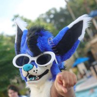 Lividfolf.bsky.social (@lividfolf) 's Twitter Profile