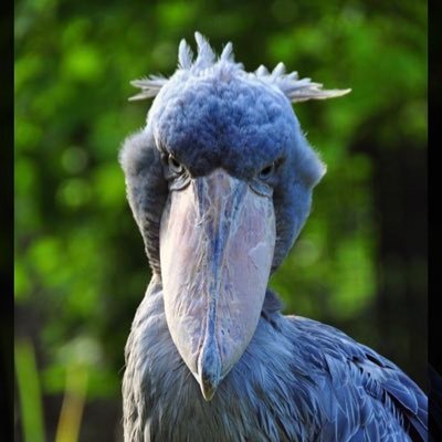 igarashi_kaisyu's profile picture. 過去にたいして勉強もせず、株で資金を2回溶かし、3回目のチャレンジはFX！ 背水の陣で臨む今年56のおっさんです。娘夫婦、生まれてくるであろう孫の為にも絶対やるしかない😤