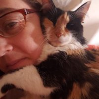Adri de LP (@ariadnalp77) 's Twitter Profile