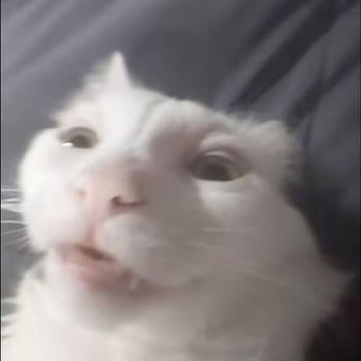 Luさんのプロフィール画像