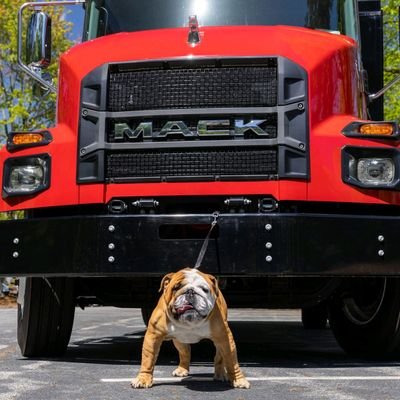 Ventas de Repuestos para camiones Diesel Mack Volvo Ford Chevrolet.
