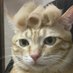 Junior.J (@juniorj19422993) Twitter profile photo Junior.J (@juniorj19422993) Twitter profile photo