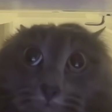 htuomruoyim's profile picture. .