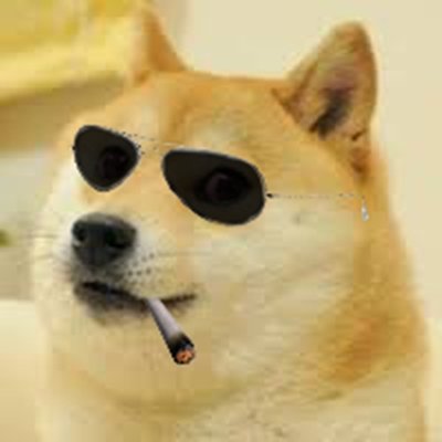 dogejmax's profile picture. Buying dips, selling tops, stacking sats.